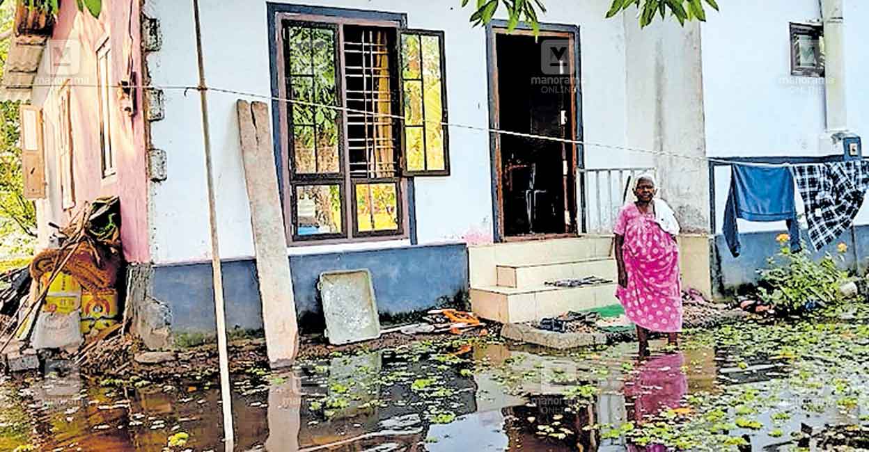 പാടത്ത് വെള്ളം നിറയ്ക്കുന്നു; സമീപ വീടുകൾക്ക് ദുരിതം | Kumarakom ...