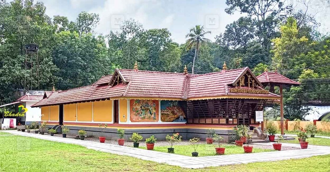 poothakuzhi-sree-krishna-swami-vishukani