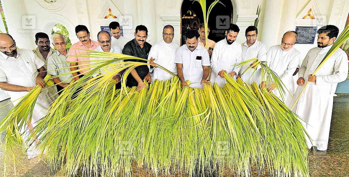 വിശുദ്ധവാരാചരണത്തിനു തുടക്കം കുറിച്ച് ദേവാലയങ്ങളിൽ ഇന്ന് ഓശാനത്തിരുനാൾ ആചരിക്കും. കുറവിലങ്ങാട് മേജർ ആർക്കി എപ്പിസ്കോപ്പൽ മർത്തമറിയം ആർച്ച് ഡീക്കൻ തീർഥാടന ദേവാലയത്തിൽ ആർച്ച് പ്രീസ്റ്റ് ഫാ. ഡോ. തോമസ് മേനാചേരിയുടെ നേതൃത്വത്തിൽ ഓശാനയ്ക്ക് വിതരണം ചെയ്യാനുള്ള കുരുത്തോലകൾ തയാറാക്കുന്നു. ചിത്രം: മനോരമ