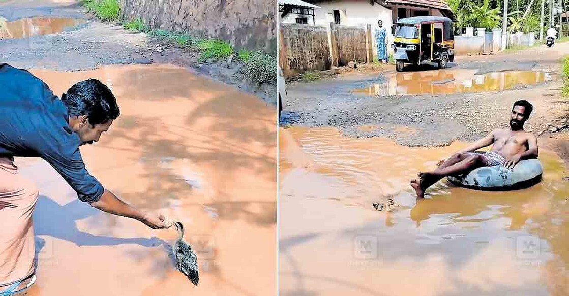 1. കടുത്തുരുത്തി– അറുനൂറ്റിമംഗലം റോഡ് സഞ്ചാര യോഗ്യമാക്കാത്തതിൽ പ്രതിഷേധിച്ച് കമ്പനിപ്പടിയിലെ വൻ കുഴികളിൽ താറാവുകളെ ഇറക്കി പ്രദേശവാസിയായ പി.എസ്. രഞ്ജു മോൻ പ്രതിഷേധിക്കുന്നു. 2. കടുത്തുരുത്തി– അറുനൂറ്റിമംഗലം റോഡ് സഞ്ചാര യോഗ്യമാക്കാത്തതിൽ പ്രതിഷേധിച്ച് റോഡിലെ കുഴികളിൽ നാട്ടുകാർ ഇറങ്ങിക്കുളിച്ച് നടത്തിയ പ്രതിഷേധം