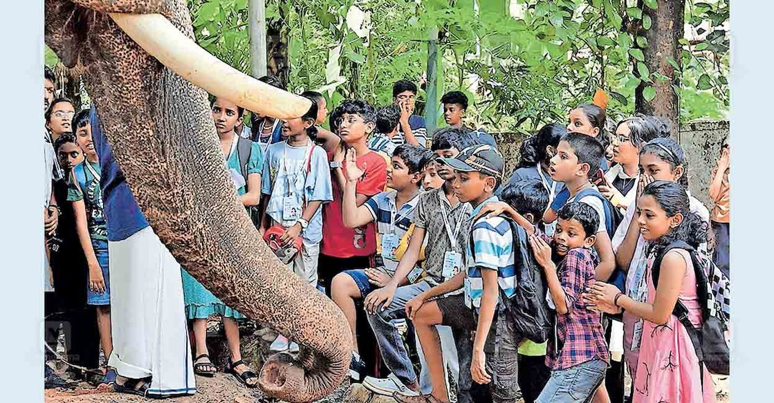 വാഴപ്പള്ളി മഹാദേവൻ എന്ന കൊമ്പനു സമീപം ക്യാംപ് അംഗങ്ങൾ.    