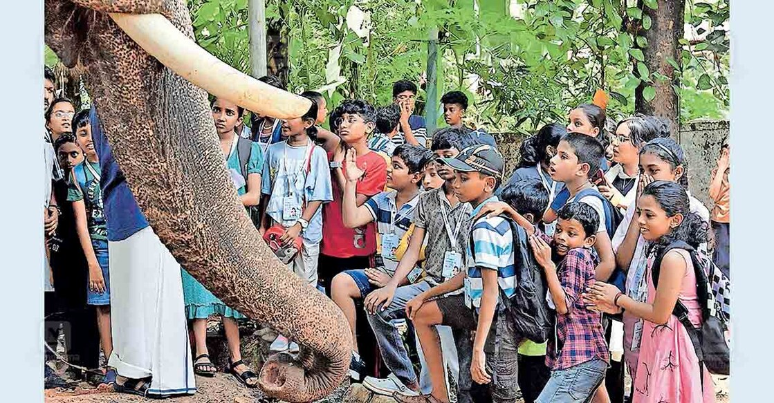 elephant വാഴപ്പള്ളി മഹാദേവൻ എന്ന കൊമ്പനു സമീപം ക്യാംപ് അംഗങ്ങൾ.