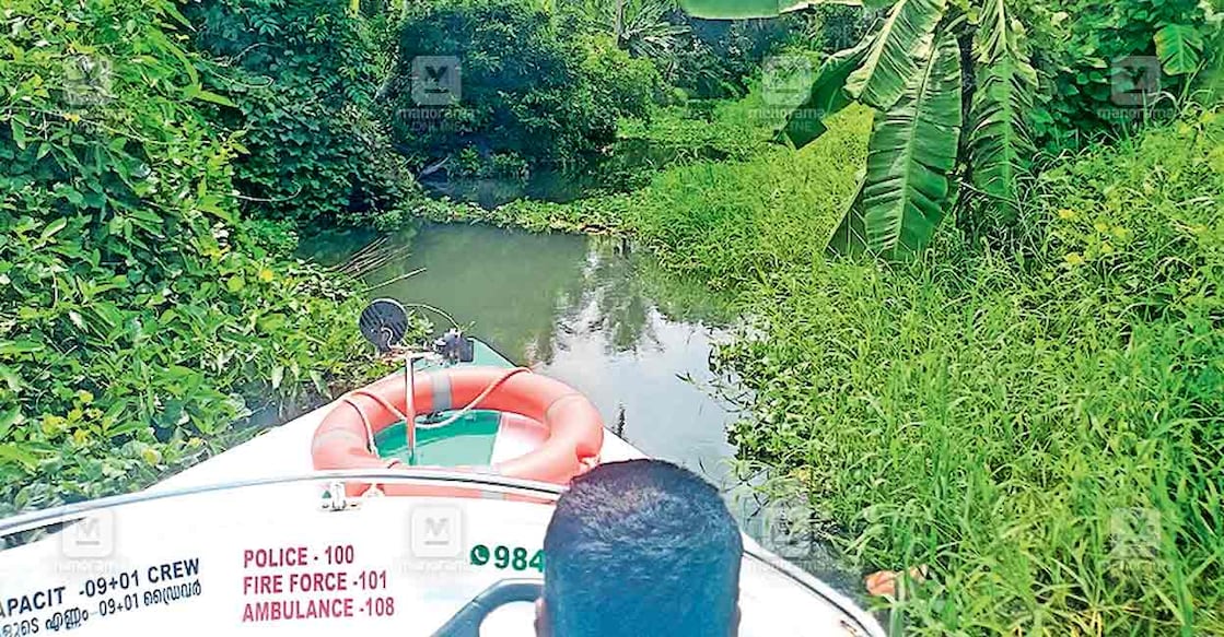 aymanam-pond അയ്മനത്തെ തോട്ടിൽ പുല്ല് വളർന്നുനിൽക്കുന്നു.