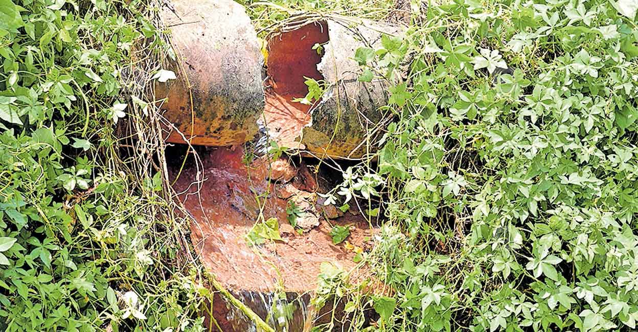 ഉപേക്ഷിച്ച പൈപ്പിൽ നിന്നു വെള്ളം; ഉറവജലമെന്ന് അധികൃതർ Kerala Water