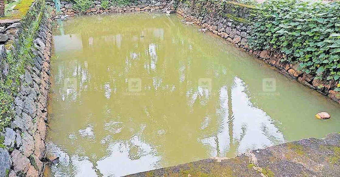 കുളത്തിലായതു ലക്ഷങ്ങൾ; അധികൃതരുടെ കെടുകാര്യസ്ഥതയ്ക്ക് ഉദാഹരണമായി ...