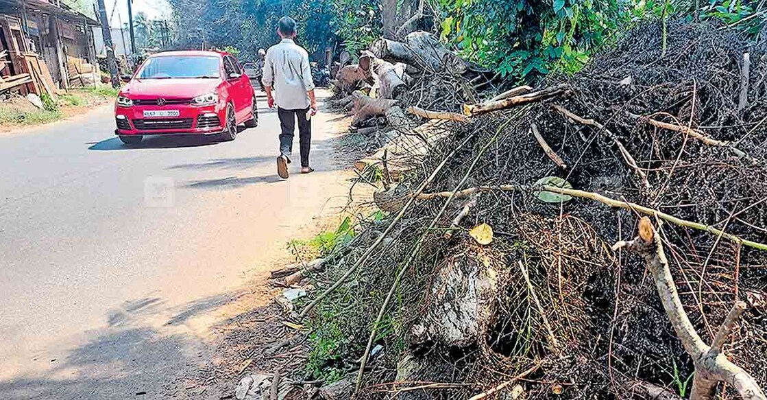 ചെങ്ങോട്ടുപൊയിൽ ജംക്‌ഷനിൽ റോഡിൽ കൂട്ടിയിട്ട മരത്തടികൾ.  നന്മണ്ട – പടനിലം റോഡിൽ നരിക്കുനി ചാലിയേക്കര വളവിൽ അപകട ഭീഷണി ഉയർത്തുന്ന മരത്തടികൾ.  