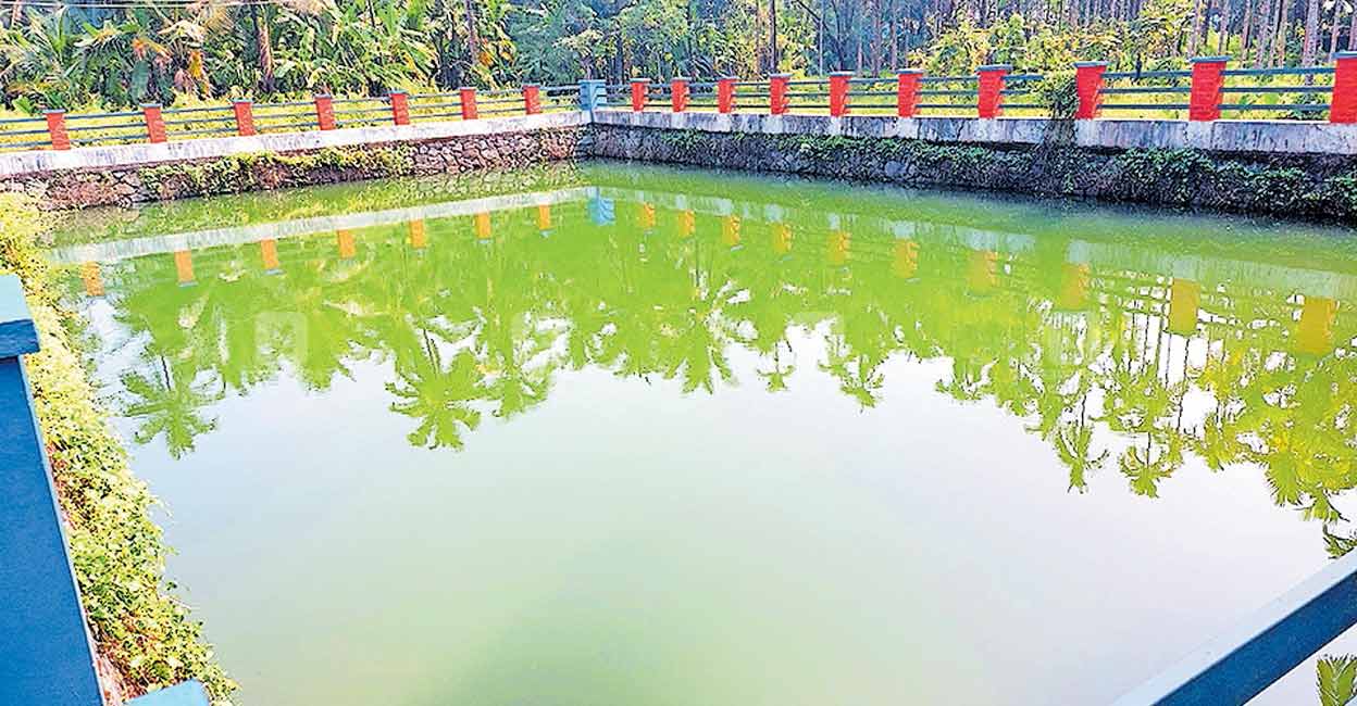 ആർക്കും ഉപകാരമില്ലാതെ ഒരു കുളം!