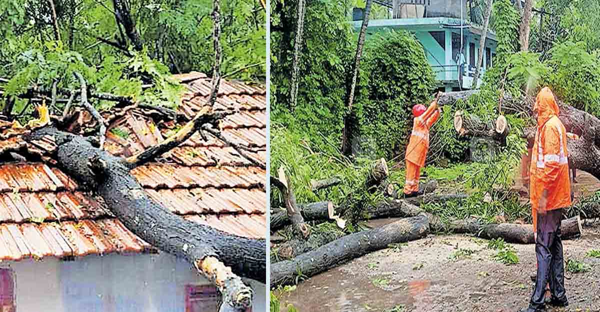 കാലവർഷം കനത്തു; കെടുതികൾ തുടരുന്നു Kozhikode rain update Kozhikode