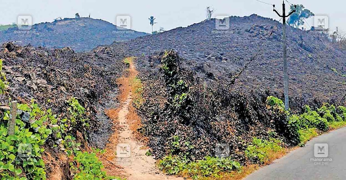 കിനാലൂർ എറമ്പറ്റ കുന്ന് കത്തി നശിച്ച നിലയിൽ.  