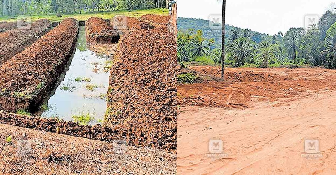 പനങ്ങാട് പഞ്ചായത്തിലെ പതിനൊന്നാം വാർഡിൽ നെൽവയൽ തരം മാറ്റിയ നിലയിൽ, 2) കോടഞ്ചേരി കണ്ണോത്ത് അങ്ങാടിക്കു സമീപം നിലം നികത്തുന്നു.     ചിത്രം/മനോരമ  