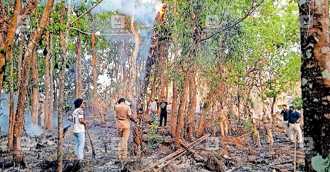 കൊടുവള്ളി വാവാട് കണ്ടാല മലയിലെ അടിക്കാടുകൾക്ക് തീ പിടിച്ച നിലയിൽ  
