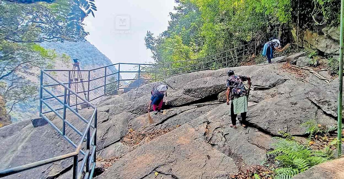 വനം വകുപ്പിന്റെ ഇക്കോ ടൂറിസം സെന്ററിന്റെ പ്രധാന ആകർഷണമായ കക്കയം ഉരക്കുഴി വെള്ളച്ചാട്ടം മേഖല ടൂറിസ്റ്റുകൾക്ക് ഇന്ന് തുറന്നു കൊടുക്കുന്നതിനു മുന്നോടിയായി ഗൈഡുമാർ ശുചീകരിക്കുന്നു  