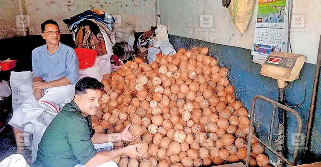 ഡിമാൻഡ് കുറഞ്ഞതോടെ കുറ്റ്യാടിയിലെ കടയിൽ കെട്ടിക്കിടക്കുന്ന പച്ചത്തേങ്ങ.