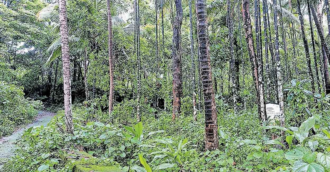 കാക്കൂർ നടുവല്ലൂരിലുള്ള ജില്ലാ പഞ്ചായത്തിന്റെ സ്ഥലം.  