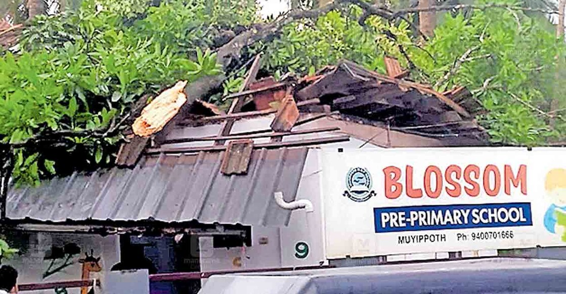 കനത്ത മഴയിലും ചുഴലിക്കാറ്റിലും മുയിപ്പോത്ത് യുപി സ്കൂളിനു മുകളിൽ മരം മുറിഞ്ഞു വീണു മേൽക്കൂര തകർന്ന നിലയിൽ.  
