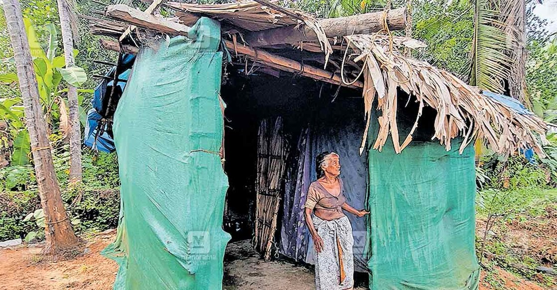 ചേളന്നൂർ അമ്പലപ്പാട് മൂന്നാംമുണ്ട തരിയോട് നിലത്തെ നിലം പൊത്താറായ ഓല ഷെഡിൽ കഴിയുന്ന ജാനകി അമ്മ.  
