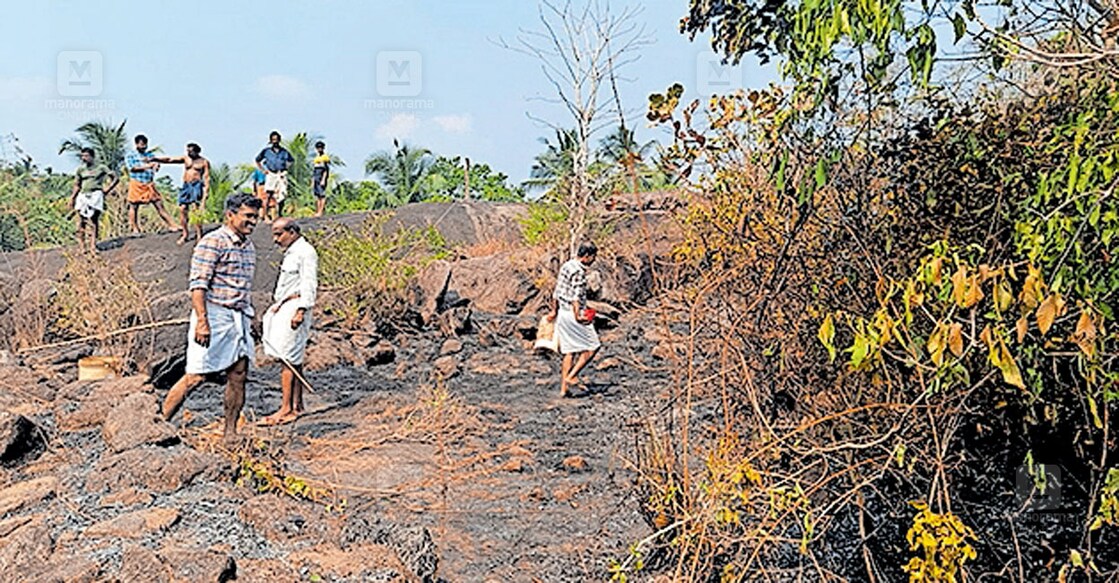 അവിനല്ലൂരിലെ അരീക്കോത്ത് പാറ മലയിലെ തീ നാട്ടുകാർ ചേർന്ന് അണയ്ക്കുന്നു.