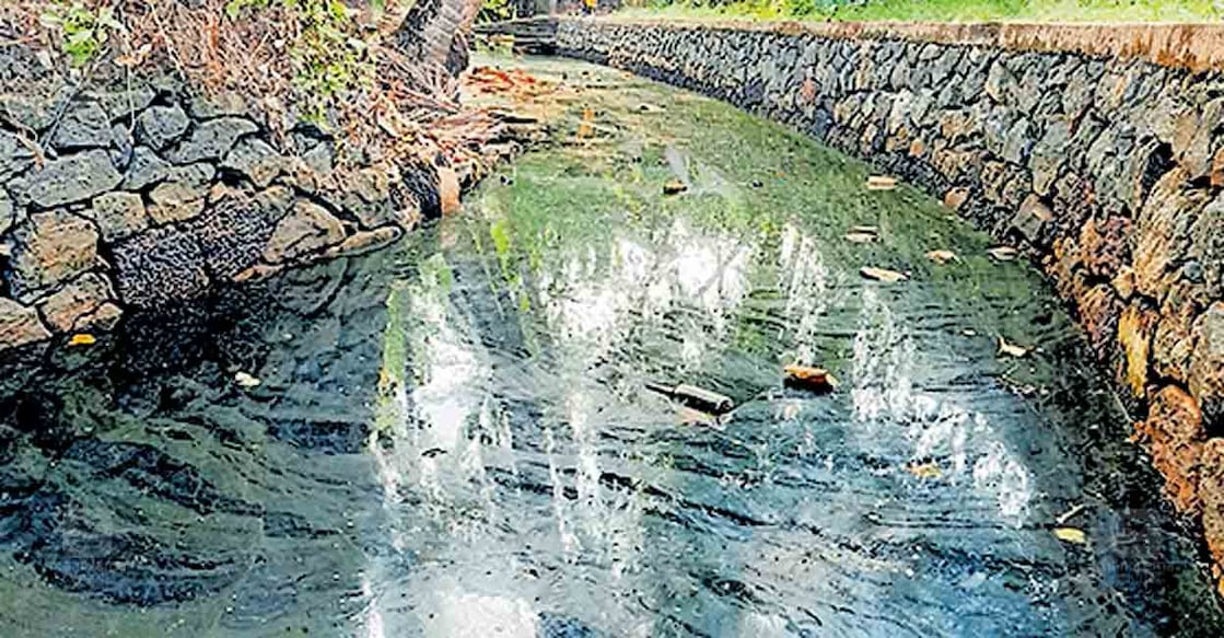 madhurabasar-aralayi-kanal മലിനജലം കെട്ടിനിൽക്കുന്ന ചെറുവണ്ണൂർ മധുരബസാർ അറളായി തോട്.