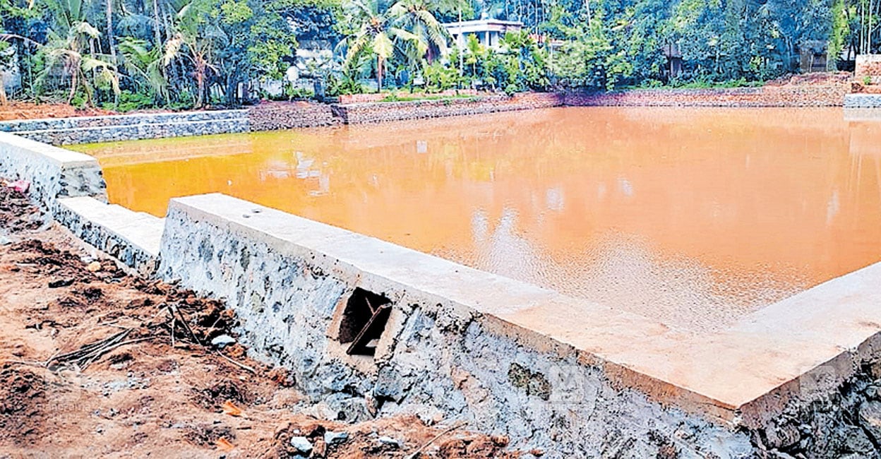 മണ്ണൂർ കാവുംകുളം നവീകരണം: ആദ്യഘട്ട പ്രവൃത്തി തീരുന്നു | Mannur ...