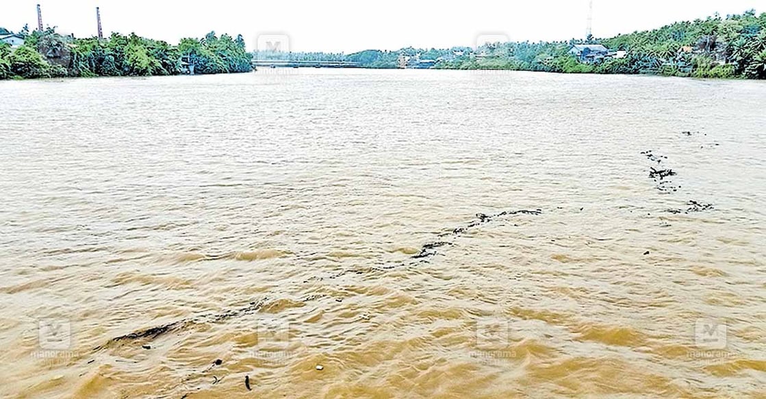 feroke-chaliyar കനത്തമഴയിൽ നിറഞ്ഞൊഴുകുന്ന ഫറോക്ക് ചാലിയാർ.