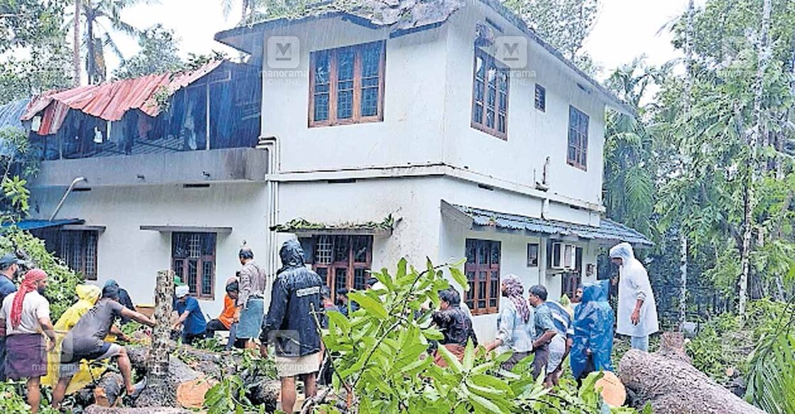 madavur-rain-house-damage മടവൂർ അരങ്കിൽ താഴത്ത് ചീക്കുനിയിൽ നജ്മുദ്ദീന്റെ വീടിനു മുകളിൽ വീണ മാവ് സന്നദ്ധ പ്രവർത്തകർ മുറിച്ചു മാറ്റുന്നു.