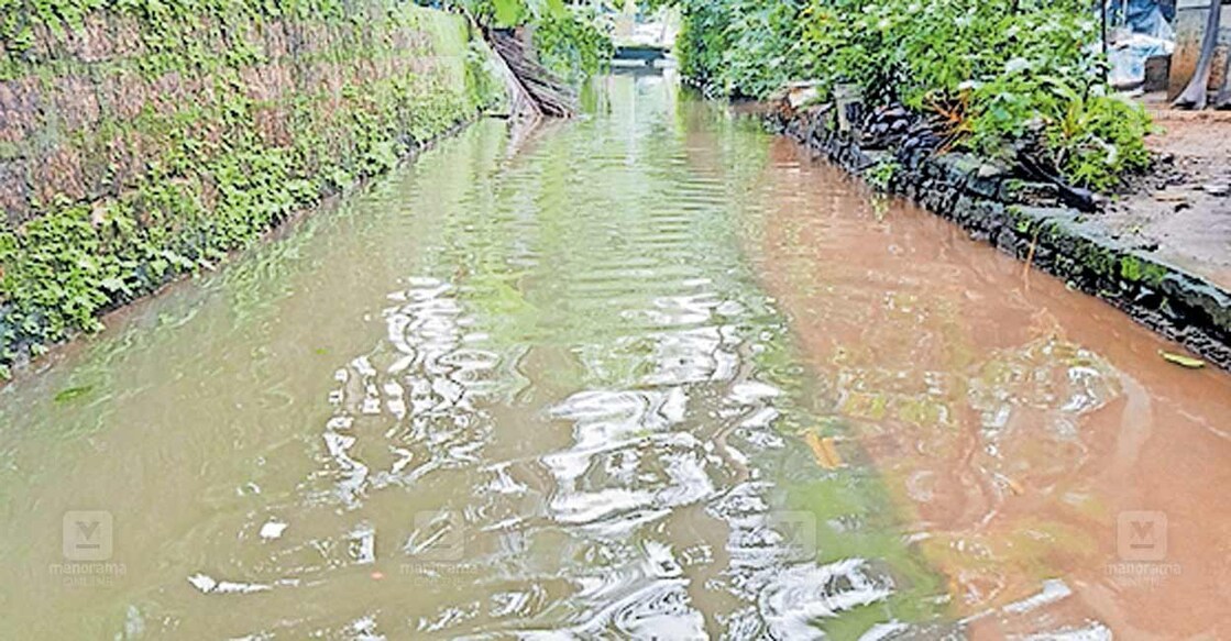 west-mahi-rain-havoc കനത്ത മഴയിൽ നിറഞ്ഞു കവിഞ്ഞ വെസ്റ്റ് മാഹി മുണ്ടകൻ കനാൽ.