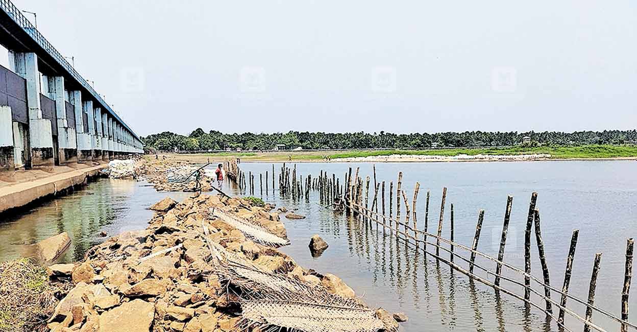 ചമ്രവട്ടത്ത് വെള്ളമില്ല; വിതരണത്തിനായി ജല അതോറിറ്റി പുഴയിൽ ബണ്ട് കെട്ടുന്നു Malappuram News
