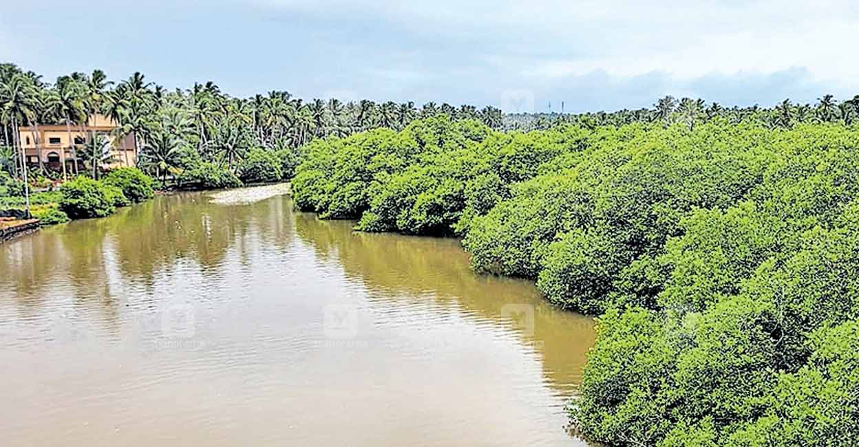 തടയണ പദ്ധതി സർവേയിൽ കണ്ടെത്തിയത് പുല്ലിപ്പുഴയോരത്ത് കയ്യേറ്റം; സർവേ ...