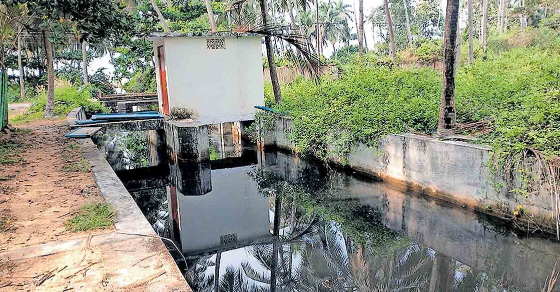 മലിനജലം കെട്ടിക്കിടക്കുന്ന വെളിയങ്കോട് തണ്ണിത്തുറ തോട്.  