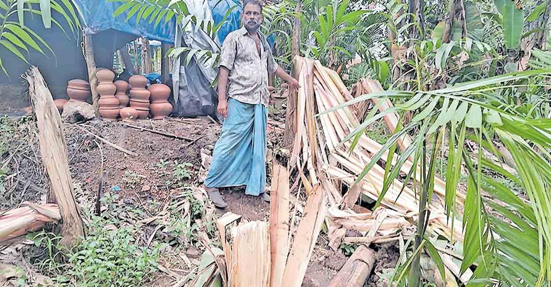 malappuram-wild-elephant-attack ആനമറിയിലെ കൊളവണ്ണ കൃഷ്ണന്റെ വീടിന് സമീപത്തെ കൃഷി ആനക്കൂട്ടം നശിപ്പിച്ച നിലയിൽ.