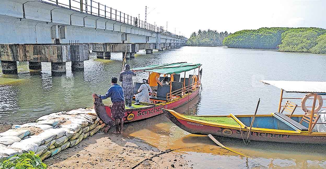 നാടൊരുങ്ങുന്നു, ഓണത്തിന്; പള്ളിക്കലിൽ 70 സെന്റിൽ 6 തോട്ടങ്ങളിലായി ...