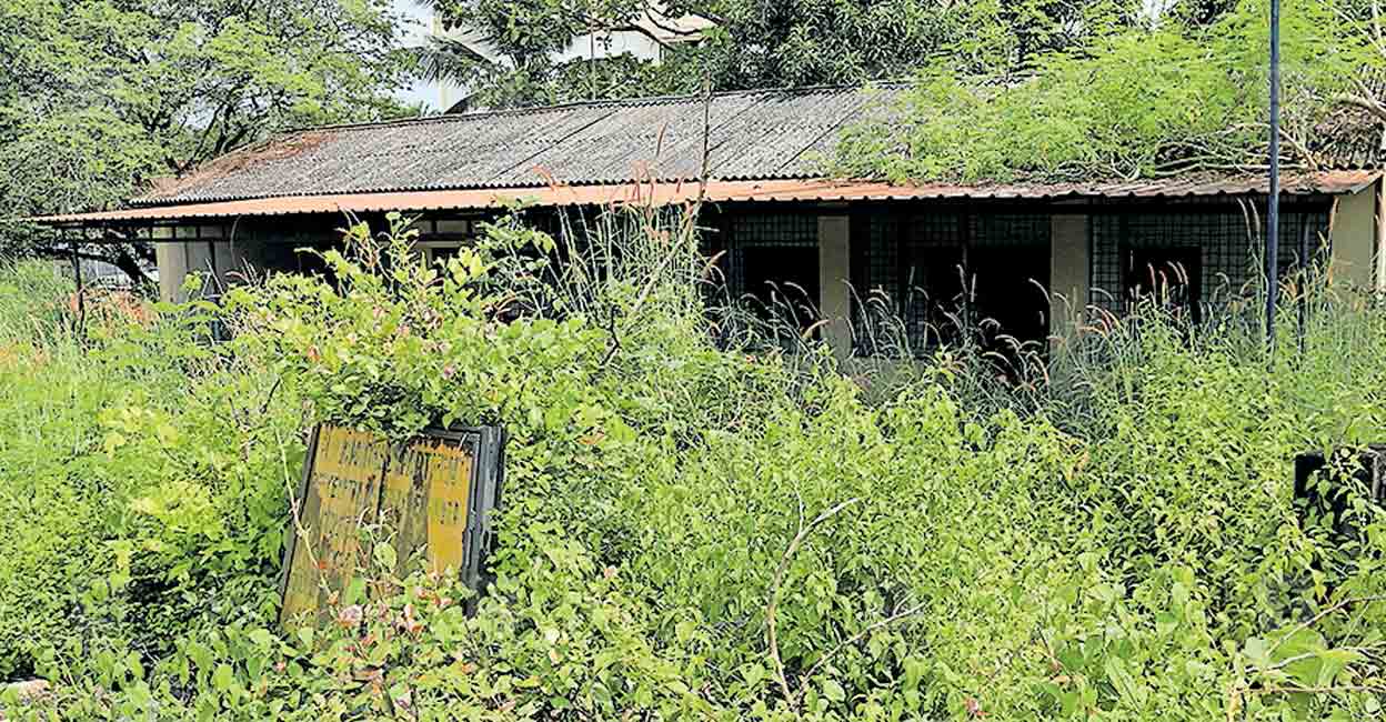 ഇഴജന്തുക്കൾക്ക് രാപാർക്കാൻ ഒരു സർക്കാർ കെട്ടിടം | Abandoned building ...