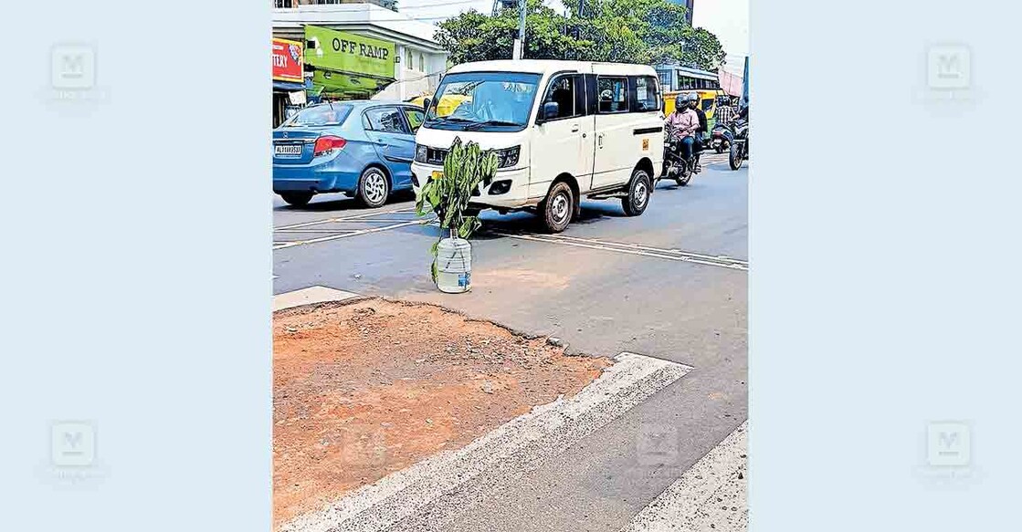 തിരൂർ സിറ്റി ജംക‍്ഷനിൽ പൈപ്പ് പൊട്ടി ശരിയാക്കിയ ഭാഗത്ത് റോഡ് തകർന്നതിനെ തുടർന്ന് അപകട മുന്നറിയിപ്പായി വച്ച ചെടികൾ.