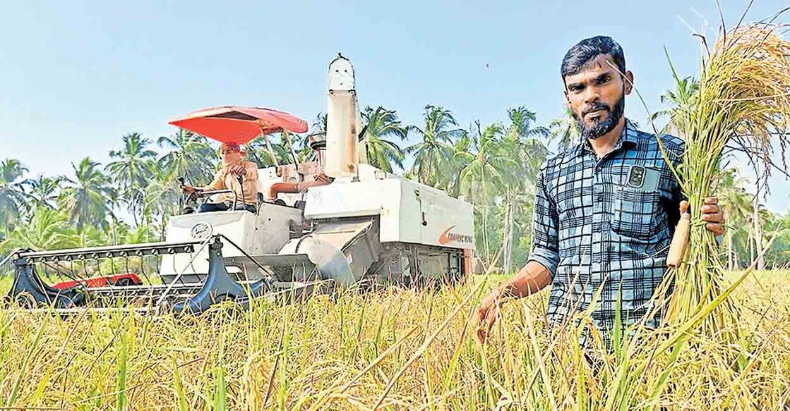 ഷംസുദ്ദീൻ തന്റെ ബസ്മതി പാടത്ത് യന്ത്രം കൊണ്ടുള്ള കൊയ്ത്ത് നടത്തുന്നു.  
