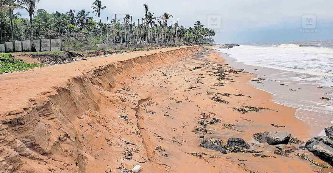 കഴിഞ്ഞ ദിവസങ്ങളിൽ ഉണ്ടായ കടൽക്ഷോഭത്തിൽ കര ഇടിഞ്ഞ വെളിയങ്കോട് തണ്ണിത്തുറയിലെ തീരം.  
