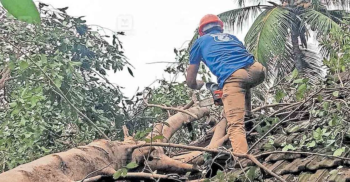 എരവിമംഗലത്ത് വീടിനുമുകളിൽവീണ മരം വെട്ടിമാറ്റാനുള്ള ട്രോമാകെയർ പ്രവർത്തകരുടെ ശ്രമം.  