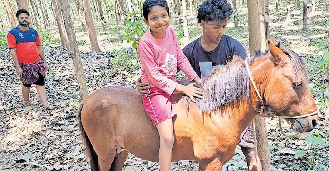 സുൽത്താൻ സവാരിയിൽ (ഫയൽ ചിത്രം).   