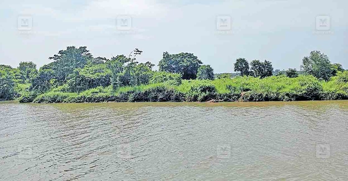 bharatha-puzha പൊന്നാനി ഭാരതപ്പുഴയിൽ ഒഴുക്കിനു തടസ്സമായി നിൽക്കുന്ന മണൽതിട്ട.
