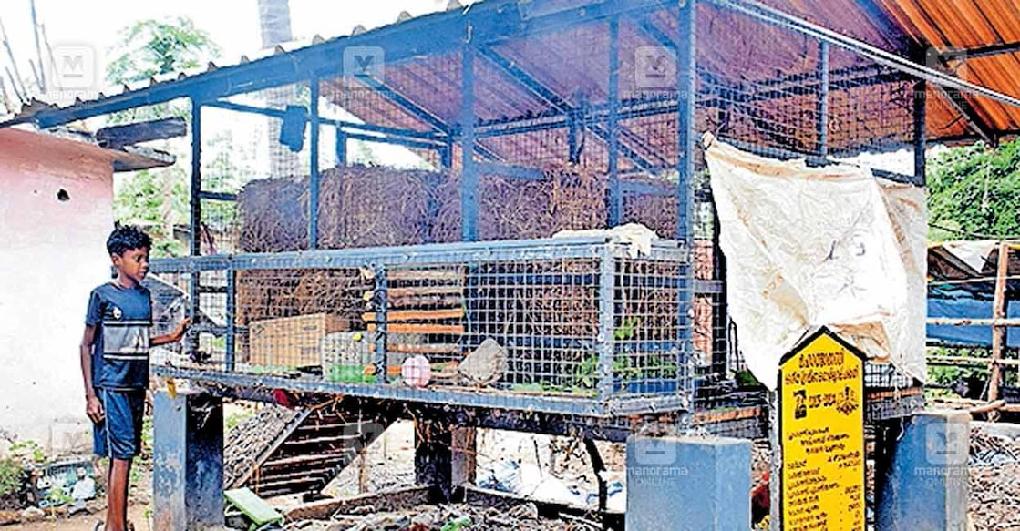 വന്യമൃഗശല്യം ഭയന്ന് ഉച്ചക്കുളം നഗറിലെ പല കുടുംബങ്ങളും വളർത്തുമൃഗങ്ങളെ വിറ്റൊഴിവാക്കിയിരിക്കുകയാണ്. ഒഴിഞ്ഞ കൂടുകൾ മാത്രം ബാക്കി.  
