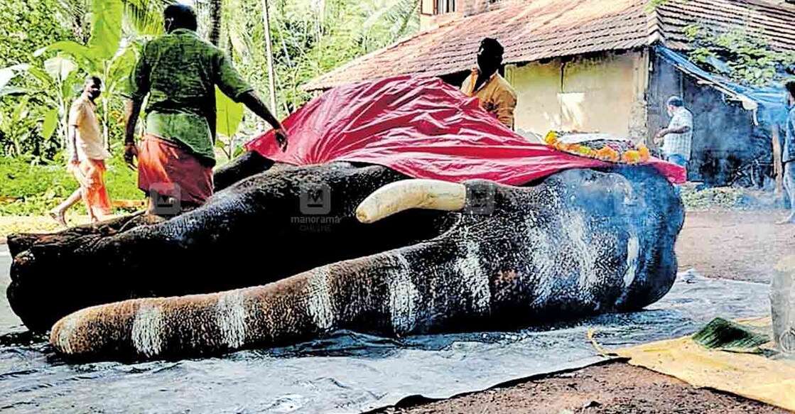 ചരിഞ്ഞ മനിശ്ശേരി രഘുറാം.  