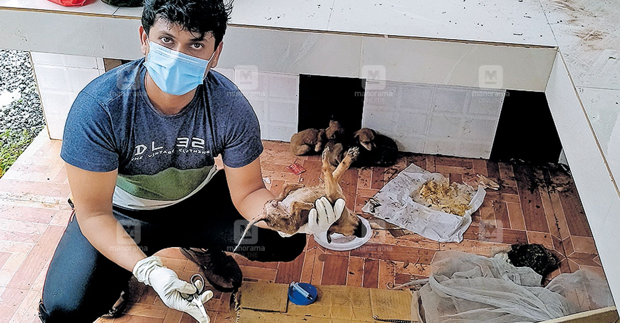 നായ്ക്കുട്ടികൾ അനാഥരല്ല; മിണ്ടാപ്രാണികളുടെ രക്ഷകനായി ജിനേഷ്