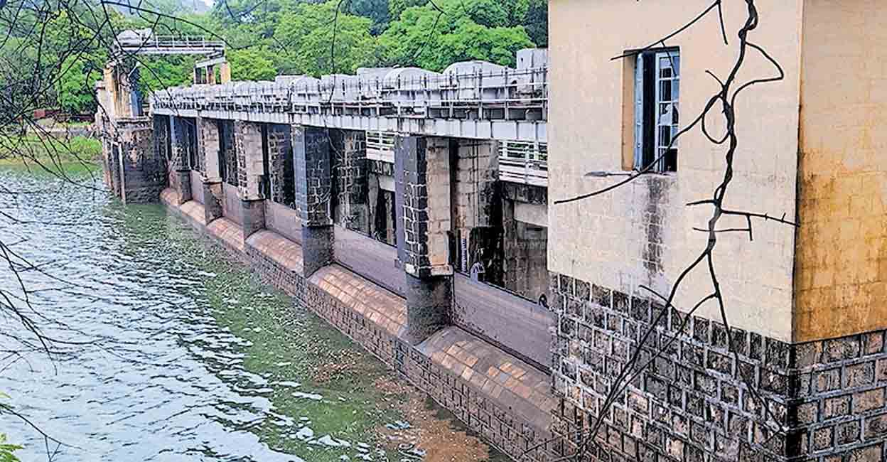 ഇനിയും നിറയാതെ മംഗലംഡാം അണക്കെട്ട് Palakkad rain update Palakkad