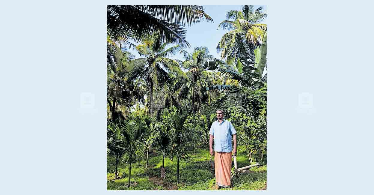 പ്രായം തളർത്താത്ത കരുത്ത്, കഠിനാധ്വാനം