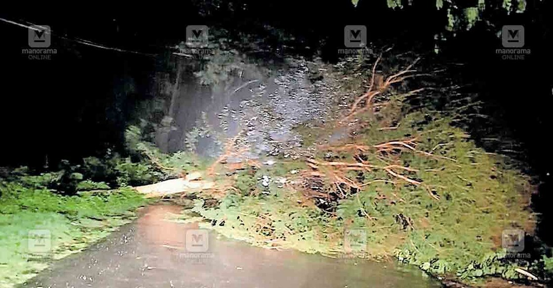 tree-falling അട്ടപ്പാടി മട്ടത്തുക്കാട് മരം വീണ് ആനക്കട്ടി റോഡ് തടസ്സപ്പെട്ട നിലയിൽ
