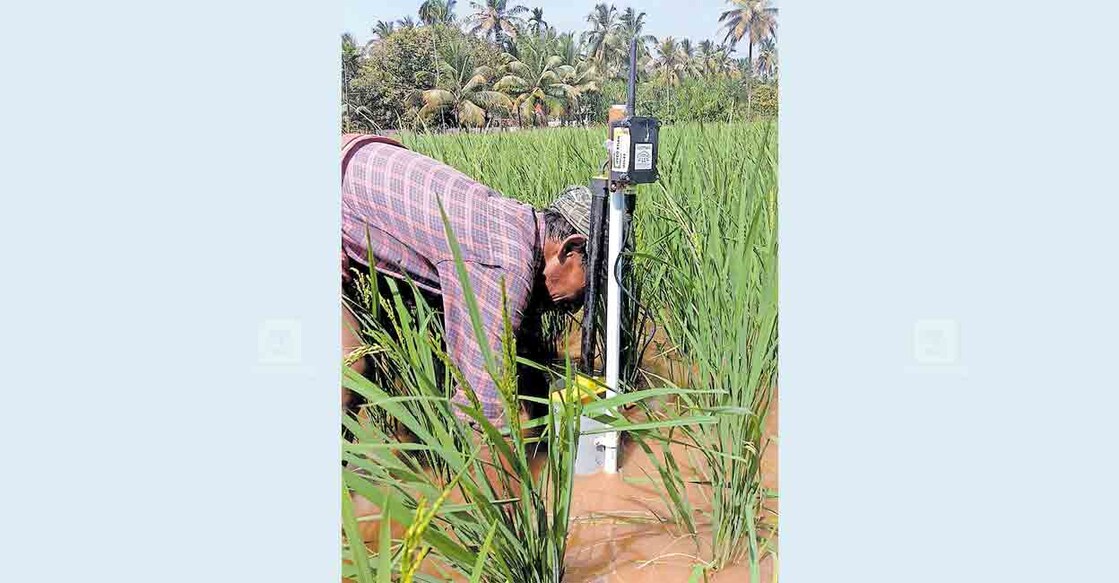 തിരിഞ്ഞക്കോട് നീർത്തട വികസന സമിതി പരിധിയിൽ നെൽവയലിലെ ജലാംശം സെൻസറുകൾ ഉപയോഗിച്ചു കണ്ടെത്തുന്നതിനുള്ള സംവിധാനം സ്ഥാപിക്കുന്നു. 