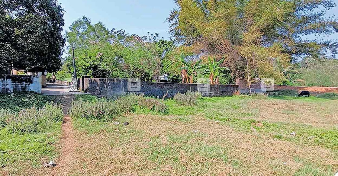 പട്ടാമ്പി നഗരസഭയിലെ മൂർക്കാട്ട് പറമ്പിനെയും നഗരസഭ ബൈപാസ് റോഡിനെയും ബന്ധിപ്പിച്ച് റോഡ് ആവശ്യമുള്ള സ്ഥലം.