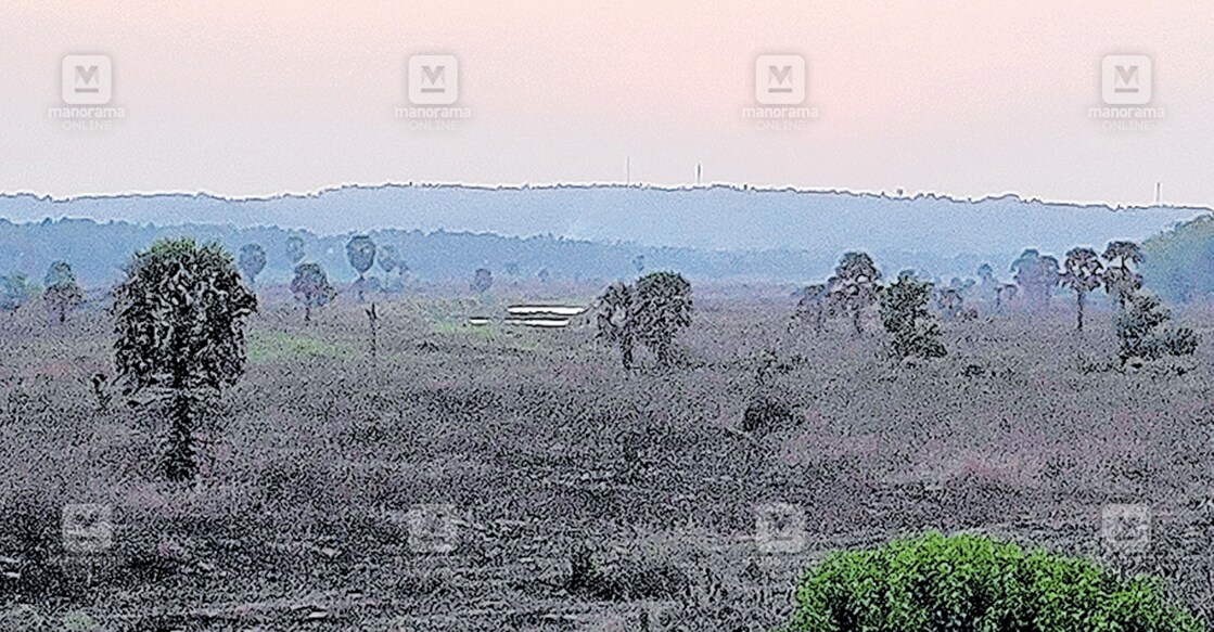 ഭാരതപ്പുഴ പരുതൂർ മംഗലം ഭാഗം വറ്റി വരണ്ട നിലയിൽ