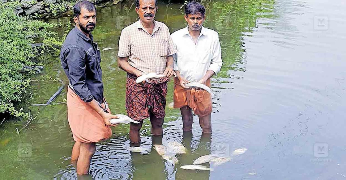 palakkad-fish-died
മുരളീധരന്റെ കുളത്തിലെ മീനുകൾ ചത്തുപൊങ്ങിയപ്പോൾ.