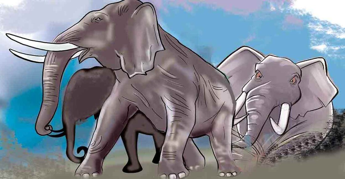 elephant-sketch-new elephant-sketch-new