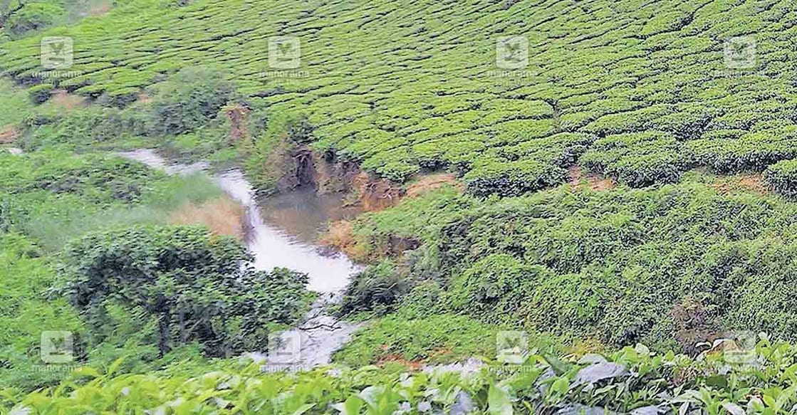 palakkad-naliyambathi-9 നെല്ലിയാമ്പതി ഏലംപാടി തടയണ നിർമാണ പദ്ധതിയിൽ ഉൾപ്പെടുന്ന നൂറടിപ്പുഴയുടെ ശാഖ.